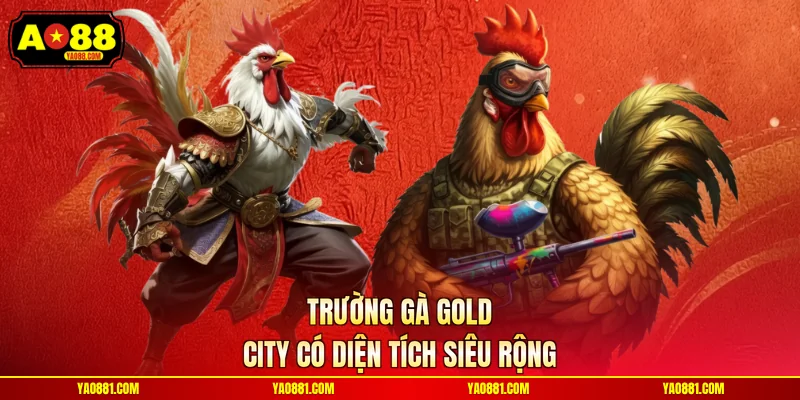 Trường gà Gold City có diện tích siêu rộng